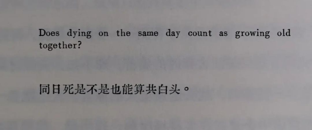 Image_1751939020701.jpg